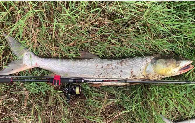 8e93880fd4925f0f915b898c3dd2a01f