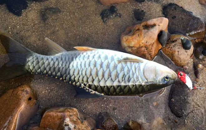 9034827e60acc57613fc79f59bf7ac48