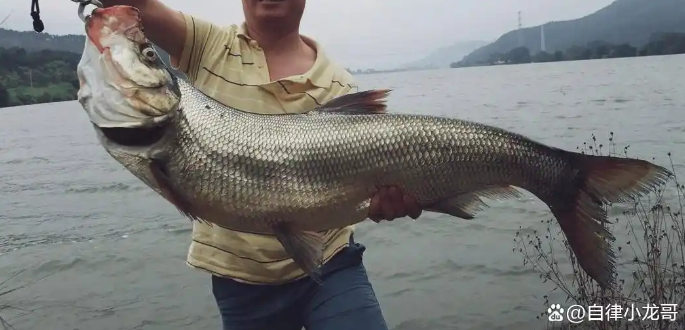 a1b34048b2fbc8abc4ddf7008239c3f8