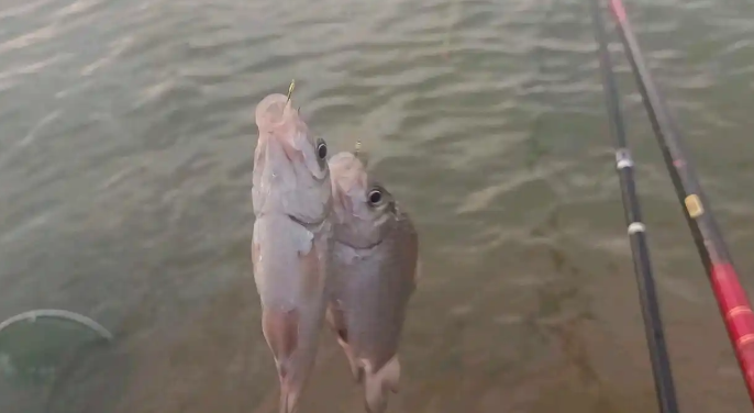 3ed2ed029ca3329d7aad003b7ada5e2f