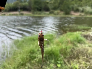 冬天钓鱼要人找鱼，钓位不对全白费，冬钓选位总结