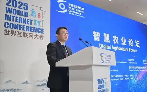 午休椅露营椅子，全国货源供应链精选，一件代发