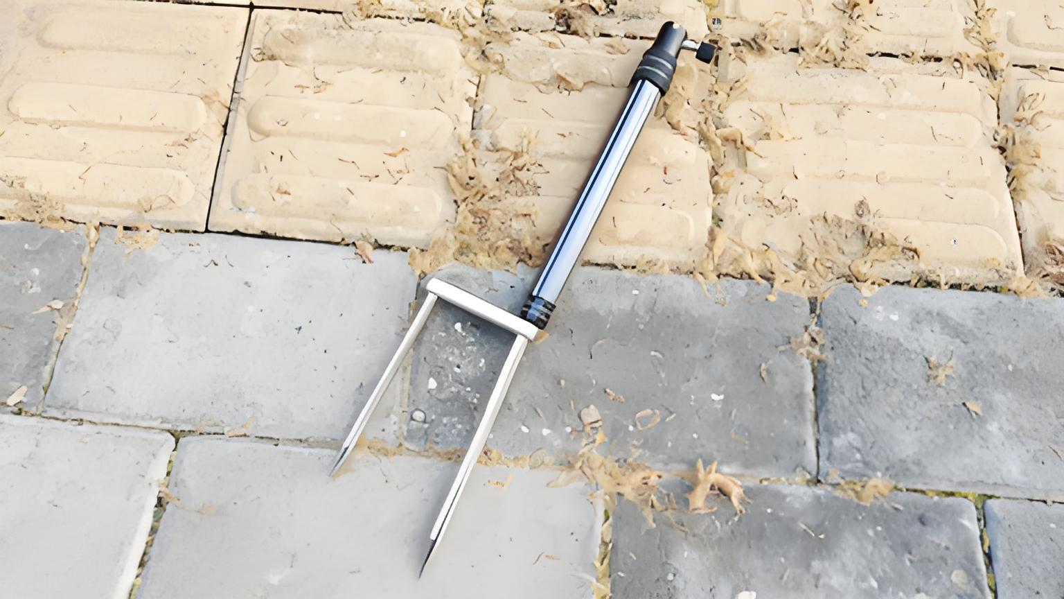 ed53239d96e99100e2759604773f488e