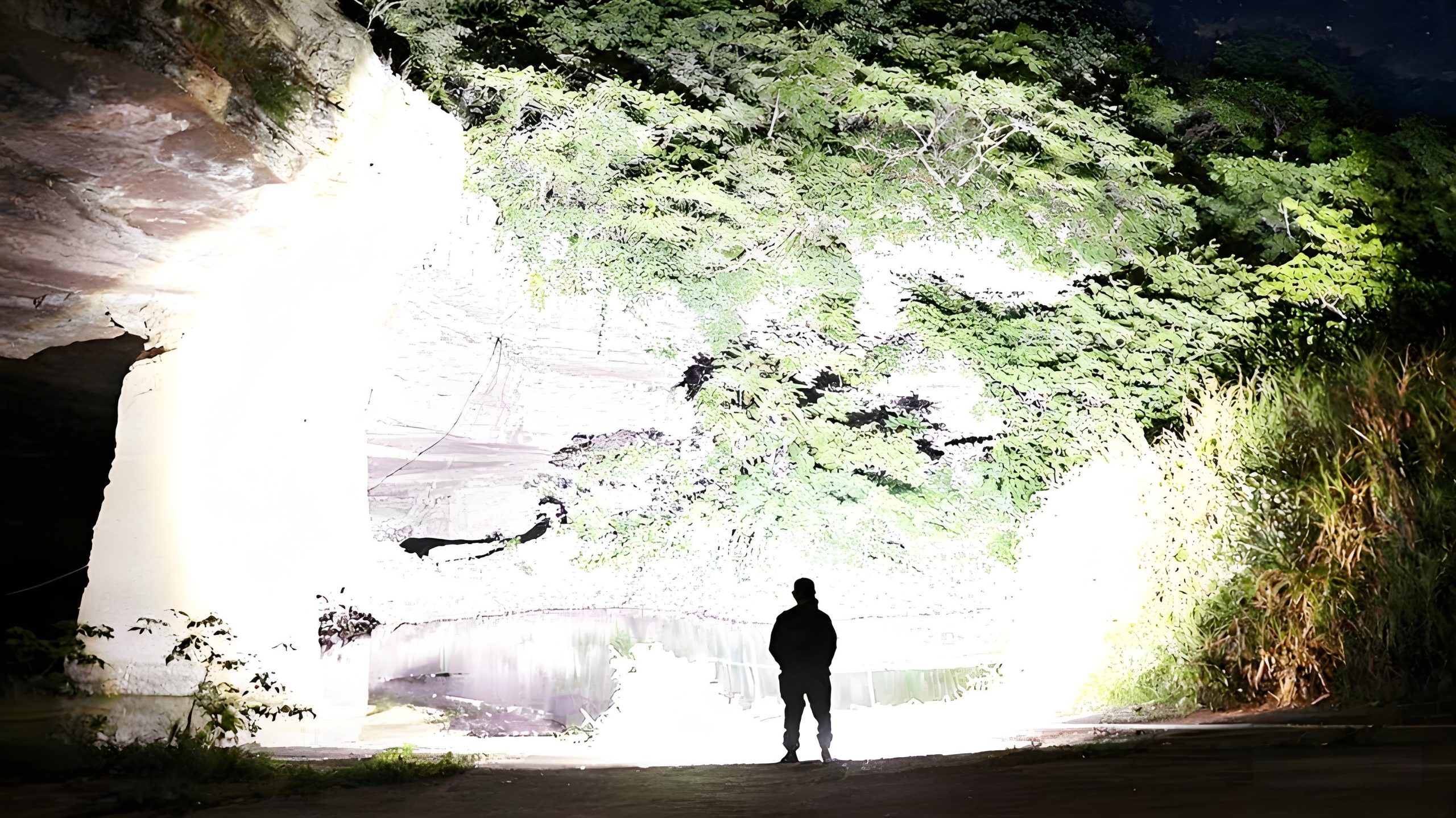 022cc2bb582d34f01ccbbfc3beea9b7a