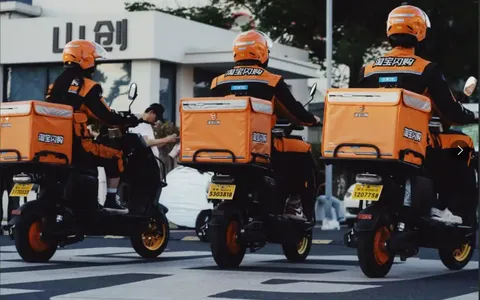 拼多多单品爆款解析：从单品推广到爆款打造的运营全攻略