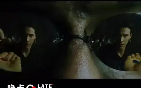 拼多多单品爆款解析：从单品推广到爆款打造的运营全攻略