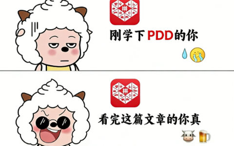 拼多多店铺权重提升秘籍大公开：🔥查询方法+实用策略，速来！