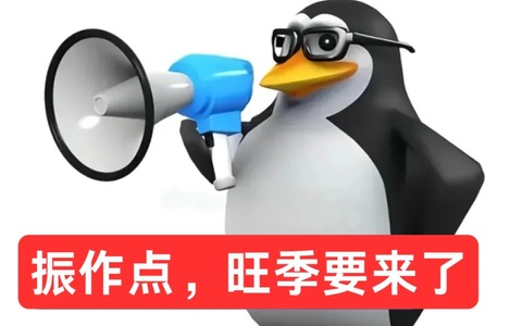 拼多多单品爆款解析：从单品推广到爆款打造的运营全攻略