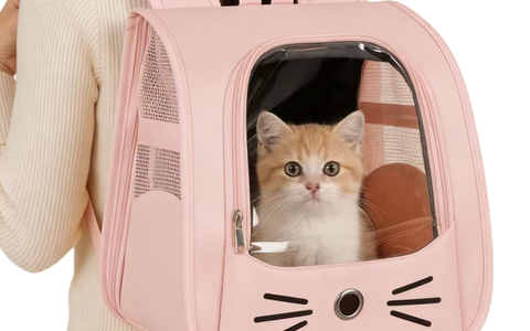 卡通猫脸宠物双肩包｜外出便携透气猫包 货源直供