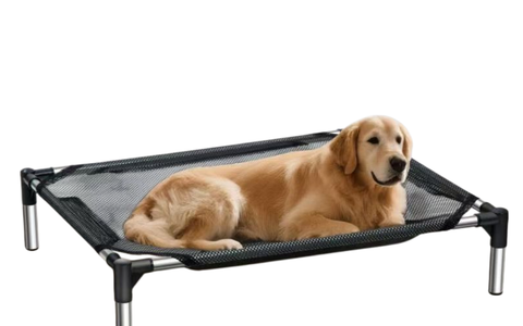 🐾 四季通用宠物行军床｜透气防潮 大型犬也能睡