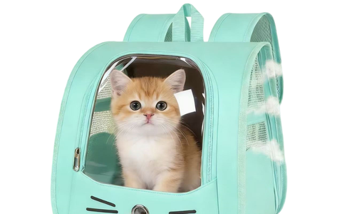 卡通猫脸透明窗宠物背包 外出便携透气猫包 🐱多色现货批发 💥