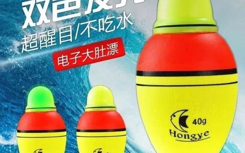 双色发光电子大肚漂 海钓夜钓醒目远投浮漂 🎣