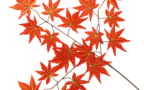 🍁 仿真红枫叶树枝｜秋季装饰人造枫叶枝 源头工厂直供