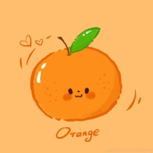 橙子🍊的头像